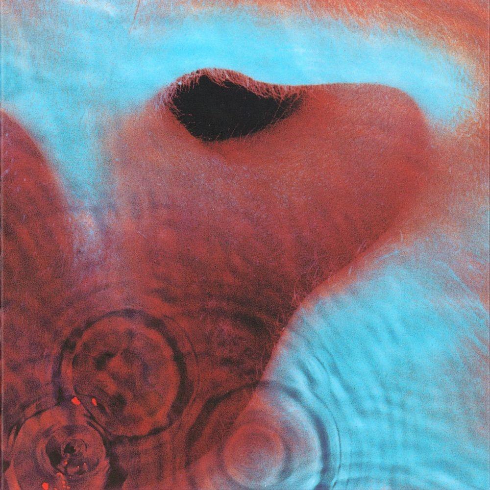 Review: Pink Floyd – Meddle (1971) – Pienemmät Purot