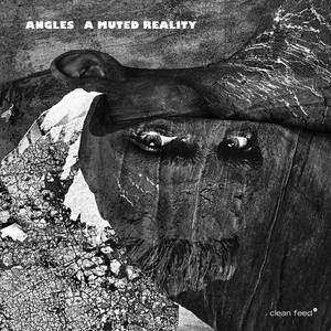 angles_muted_reality
